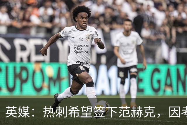 英媒：热刺希望签下范赫克，因考虑其与德泽尔比交情